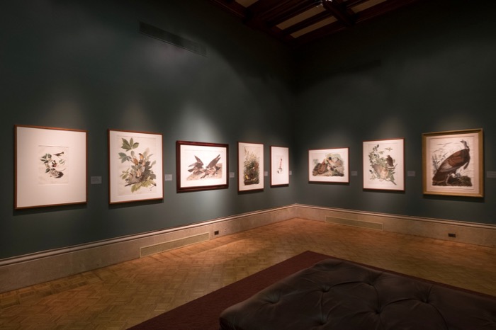 Audubon Exhibition Installation Photo