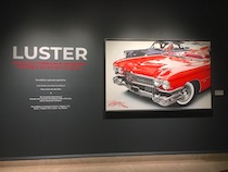 Luster Exhibition